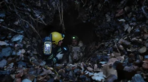 Coincée dans un terrier de blaireau lors d’une battue, une chienne de chasse sauvée après intervention