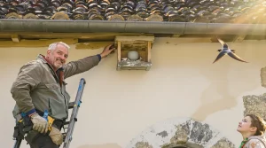 Le bourg de Rosières installe des nichoirs pour favoriser les hirondelles et les martinets